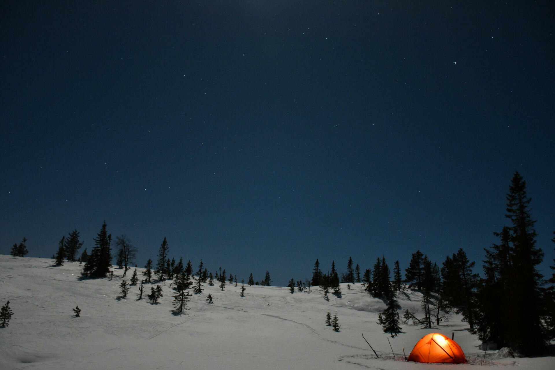 Vinterkurs på Vikerfjell