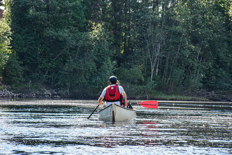 Guided canoe tour