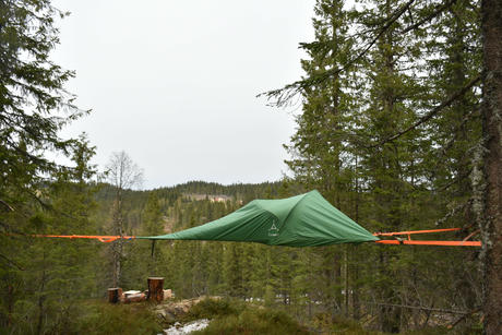 Airy tree tent accommodation